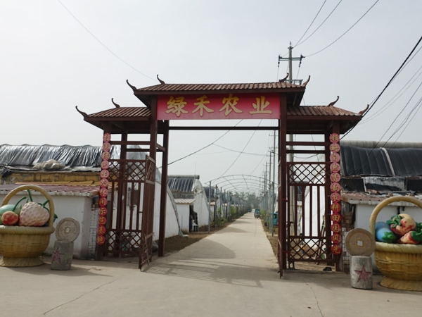 绿禾农业