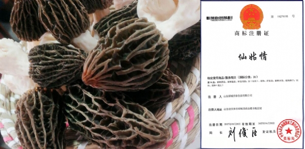 未标题-1